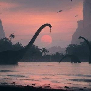 Meet your Posher, Ayla